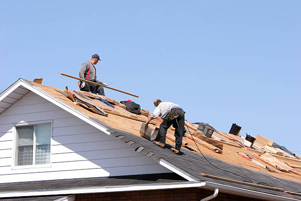 Best Roof Moss and Algae Removal  in Navarre, FL